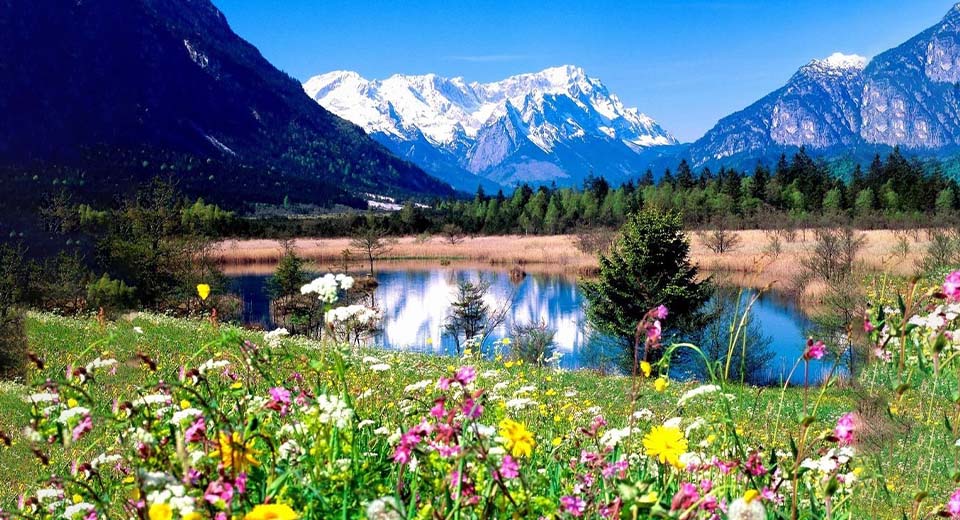 When does Spring start? The Spring Equinox Explained